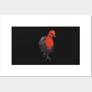 Crimson-Headed Partridge Posters and Art